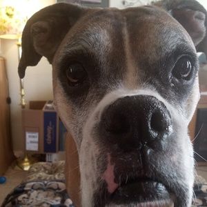 Meet your Posher, Jeanette